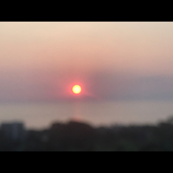 Meet your Posher, Hayi 😍 - Picture 2 of 2